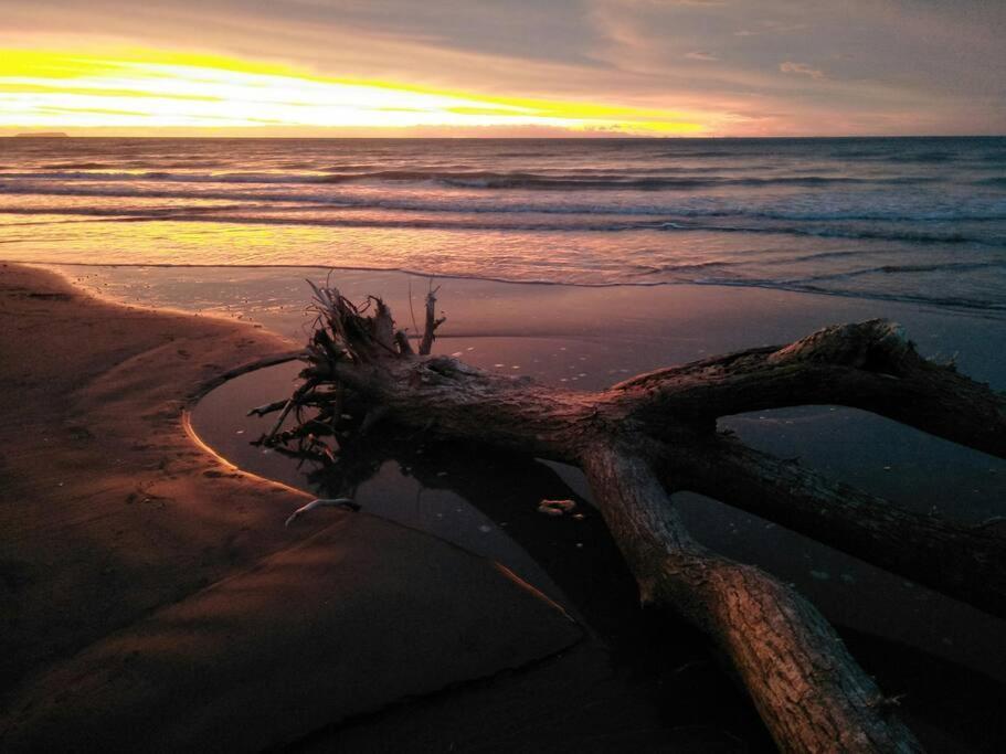 Beachfront Bliss Paraparaumu Dış mekan fotoğraf