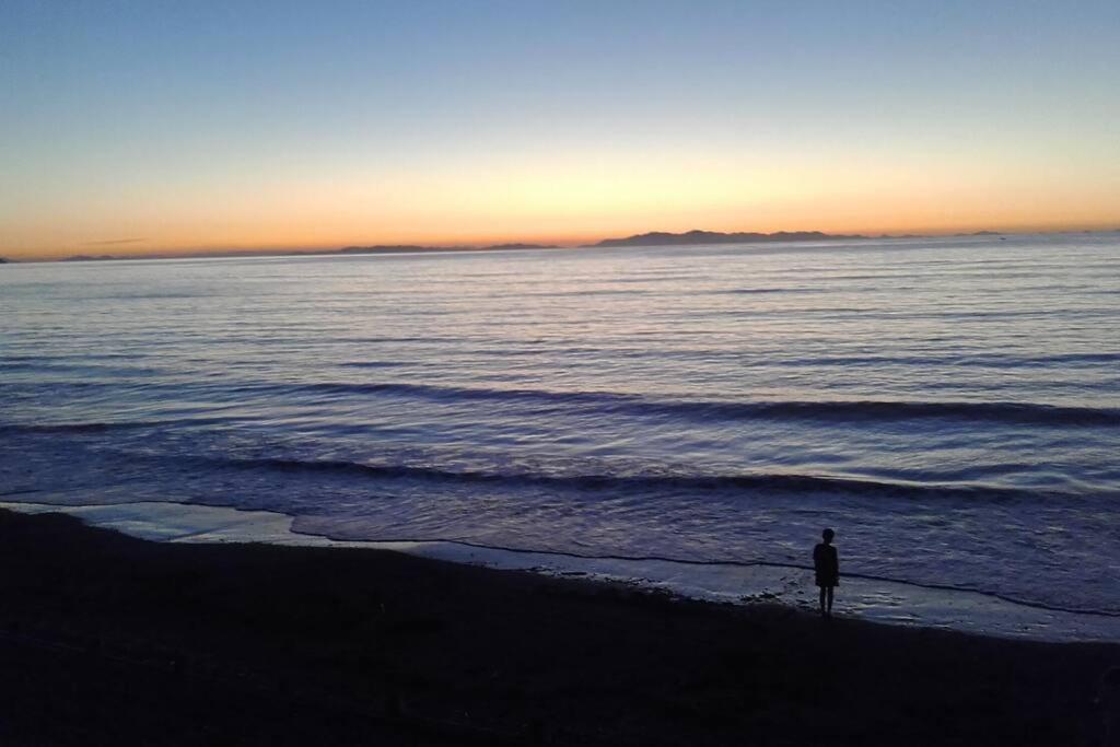 Beachfront Bliss Paraparaumu Dış mekan fotoğraf